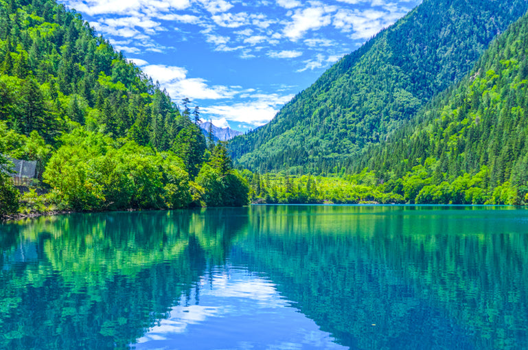 Kung Fu Panda Tour:Shaolin Temple,Panda Base,Sanxingdui Museum&Jiuzhaigou Scenic Area-5-Day Private Group Tours