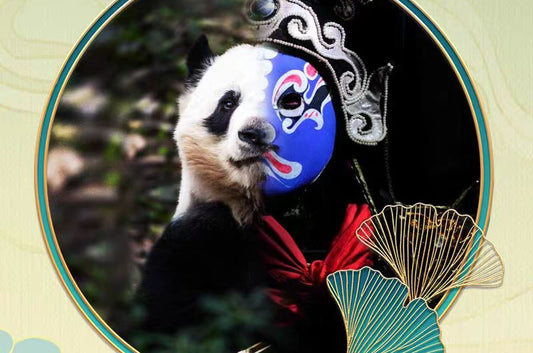 Tour de Kung Fu Panda: templo Shaolin, base Panda, museo Sanxingdui y área escénica de Jiuzhaigou: tours grupales privados de 5 días